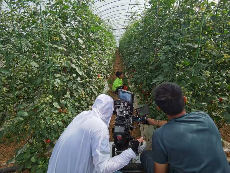 敦化市产品宣传视频拍摄公司进阶指南，助力品牌抢占传播高地